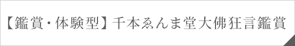 【鑑賞・体験型】千本ゑんま堂大佛狂言鑑賞