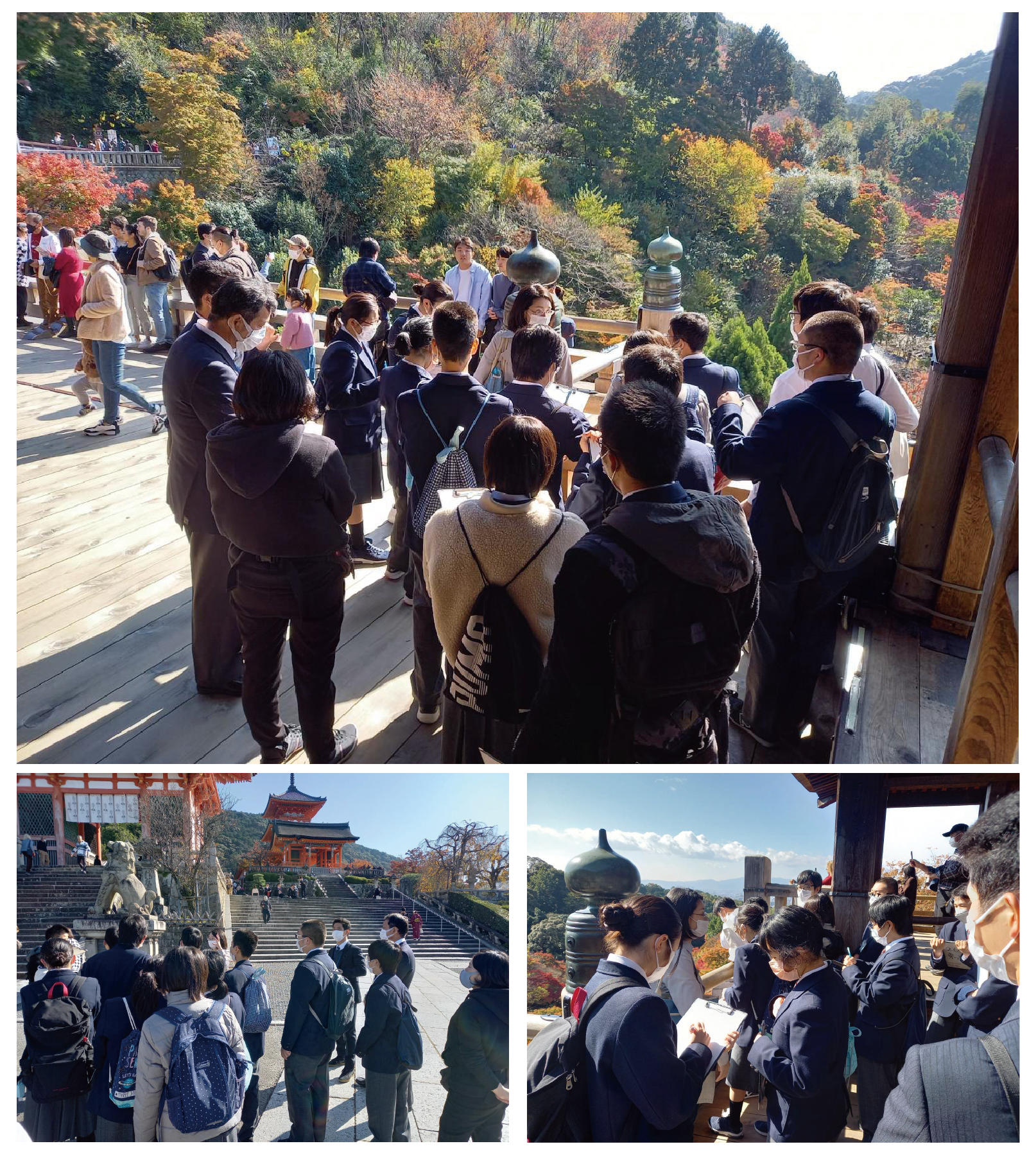 京都ユニバーサルツーリズムの実地研修